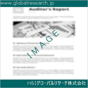 グローバルリサーチ調査資料のイメージ